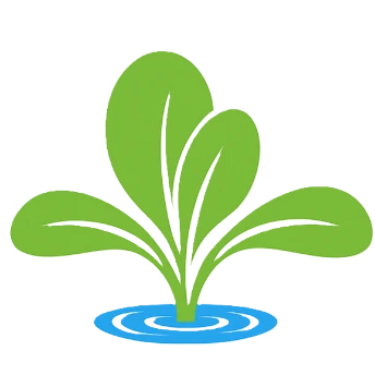 Oh Micro! | Premium Microgreens in Vancouver, BC
